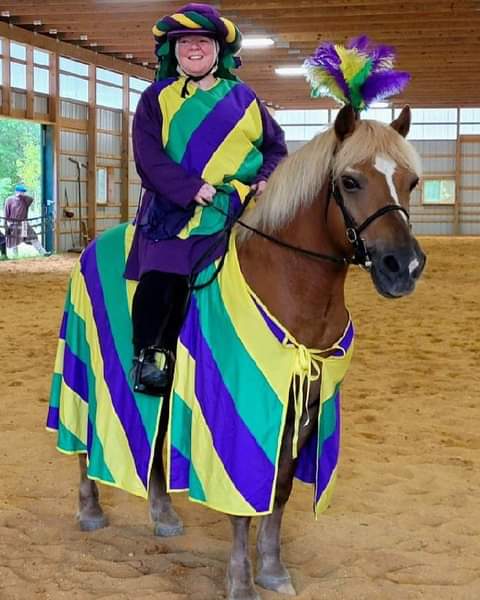 Arielle de Pointoise on her horse bingo wearing green, yellow and purple matching clothes and barding.